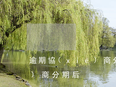 逾期協(xié)商分期后（逾期協(xié)商分期后）