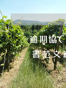逾期協(xié)商分期申請(qǐng)書范文（逾期協(xié)商分期申請(qǐng)書）