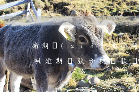 逾期協(xié)商分期還款可以有哪些證明(逾期貸款分期還款協(xié)議)