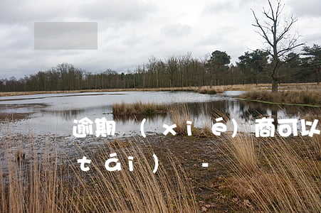 逾期協(xié)商可以直接去銀行柜臺(tái)嗎-