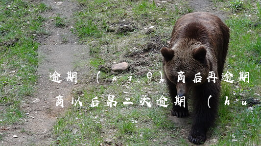 逾期協(xié)商后再逾期（協(xié)商以后第二次逾期會(huì)坐牢么）