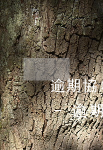逾期協(xié)商后為什么不能全部免息-逾期協(xié)商不成功