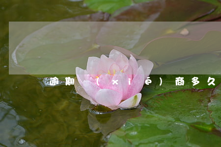 逾期協(xié)商多久成功
