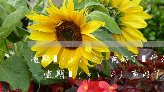 逾期協(xié)商好了為什么還打電話來-逾期協(xié)商好了為什么還打電話來催收