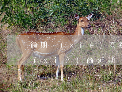 逾期協(xié)商委托方利率(貸款逾期協(xié)商延期)