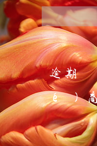 逾期協(xié)商成功怎么還款(協(xié)商還款違約后還能協(xié)商么)