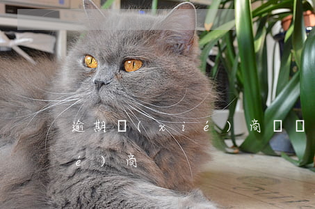逾期協(xié)商視頻(欠款逾期協(xié)商)