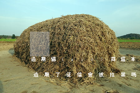逾期協(xié)商還本金后征信會拉黑嗎(逾期了征信會被拉黑嗎)
