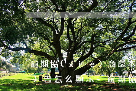 逾期協(xié)商還本金征信報(bào)告怎么顯示-逾期協(xié)商還本金征信報(bào)告怎么顯示的