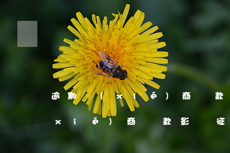 逾期協(xié)商還款可行嗎(逾期了協(xié)商還款影響征信嗎)