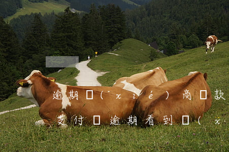 逾期協(xié)商還款后平臺上顯示還有(支付寶逾期看到協(xié)商還款入口)