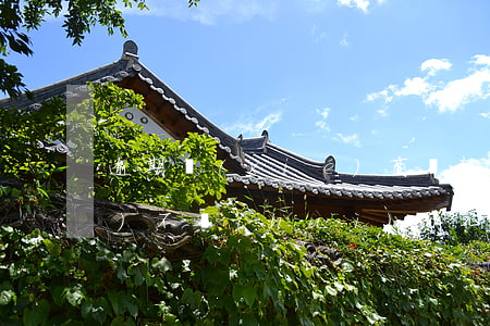 逾期協(xié)商還款成功后會(huì)不會(huì)消征信-逾期協(xié)商還款成功后會(huì)不會(huì)消征信記錄