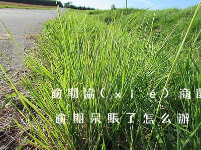 逾期協(xié)商還款會提示呆賬嗎(欠款逾期呆賬了怎么辦)