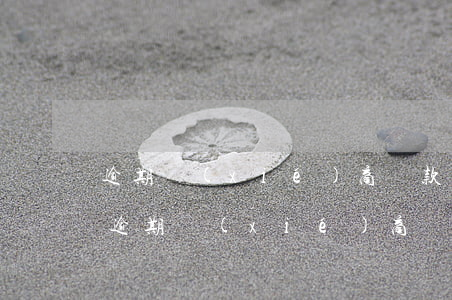 逾期協(xié)商還款申請(qǐng)(逾期協(xié)商還款申請(qǐng))