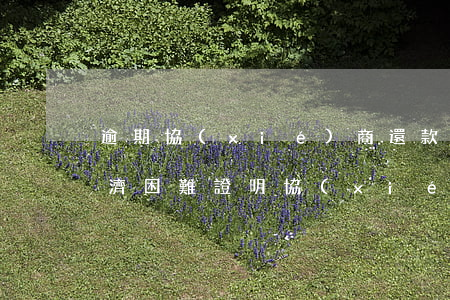 逾期協(xié)商還款要經(jīng)濟困難證明(協(xié)商還款經(jīng)濟困難如何說明)
