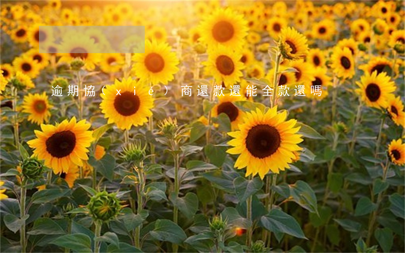 逾期協(xié)商還款還能全款還嗎