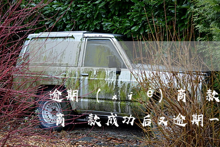 逾期協(xié)商還款重慶(協(xié)商還款成功后又逾期一天)