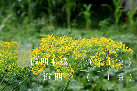 逾期卡被凍結(jié)怎么和車貸說-車貸逾期凍結(jié)銀行卡
