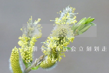 逾期卡里有钱会立刻划走吗 逾期了卡里还可以存钱吗