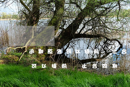 逾期原告可以提前終止合同期嗎-逾期原告可以提前終止合同期嗎法院
