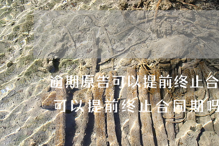 逾期原告可以提前终止合同期吗-逾期原告可以提前终止合同期吗法院
