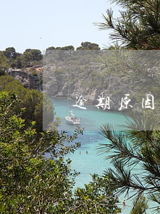 逾期原因催收(逾期原因催收函怎么寫)