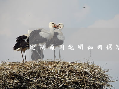逾期原因说明：如何撰写及范文参考