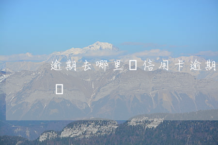 逾期去哪里還信用卡 逾期了還能辦理信用卡嗎