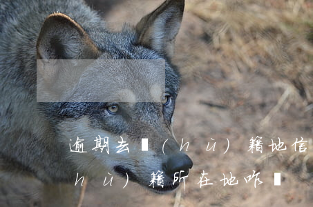 逾期去戶(hù)籍地（信用卡逾期找到戶(hù)籍所在地咋辦）
