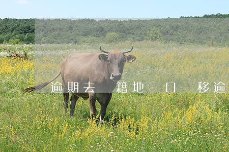 逾期去戶籍地(戶口遷移逾期)