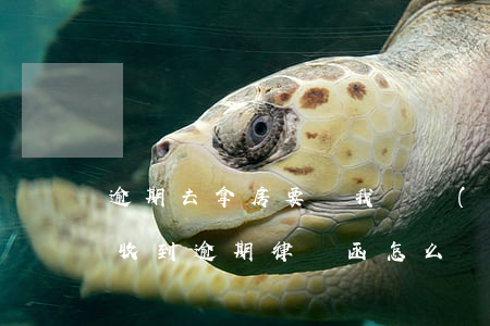 逾期去拿房要給我們發(fā)律師函(買房收到逾期律師函怎么辦)