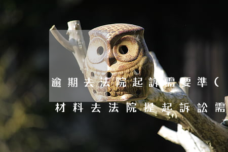 逾期去法院起訴需要準(zhǔn)備什么材料(去法院提起訴訟需要什么材料)