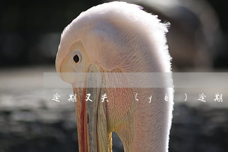 逾期又失業(yè) 逾期又失業(yè)