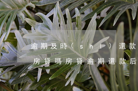 逾期及時(shí)還款會(huì)影響房貸嗎(房貸逾期還款后果真的很嚴(yán)重)