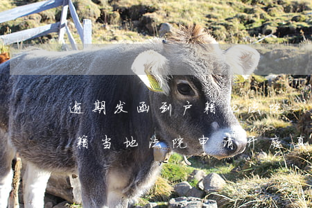 逾期发函到户籍地法院-逾期发信息说在户籍当地法院申请开庭真的假的