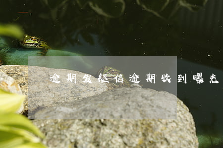 逾期发短信（逾期收到曝光平台短信）