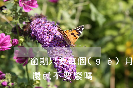 逾期只要每個(gè)月堅(jiān)持還就不要緊嗎
