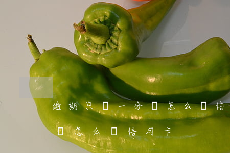 逾期只還一分錢怎么辦信用卡(逾期只還一分錢怎么辦信用卡)