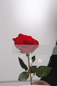 逾期只還最低還款額(逾期還能還最低還款額)