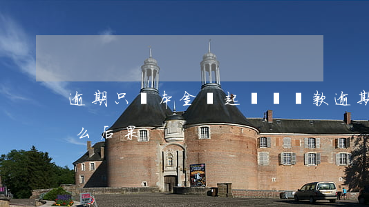 逾期只還本金會起訴嗎(還款逾期起訴會有什么后果)
