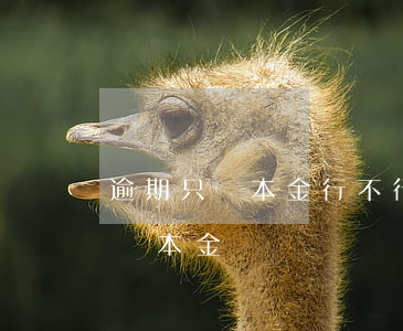 逾期只還本金行不行（建行信用卡逾期可以只還本金嗎）