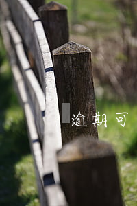 逾期可下款的口子（當前逾期也能下款口子）