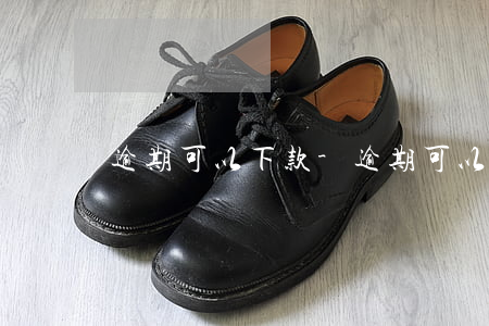 逾期可以下款-逾期可以下款買車嗎