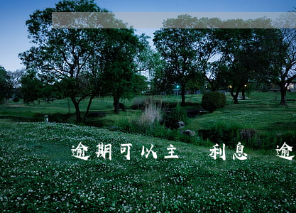 逾期可以主張利息嗎(逾期可以主張利息嗎)