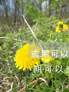 逾期可以交5險(xiǎn)一金嗎(征信逾期可以交五險(xiǎn)嗎)