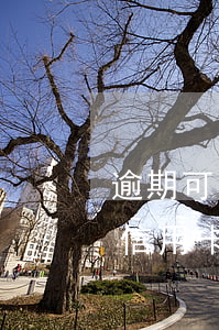逾期可以再辦信用卡嗎(如果有逾期還可以辦信用卡嗎)