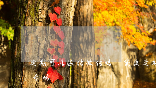 逾期可以冻结微信吗-贷款逾期会冻结微信号吗