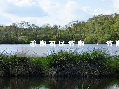 逾期可以分期嗎-分期逾期過還能分期嗎
