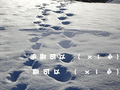 逾期可以協(xié)商還款嗎(微粒貸沒逾期可以協(xié)商還款嗎)