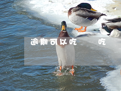 逾期可以吃蟬嗎(吃蟬違法嗎?)